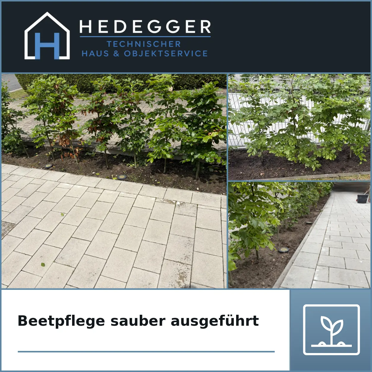 Gartenpflege in Lingen: gepflegtes Beet mit junger Hecke entlang eines Pflasterwegs