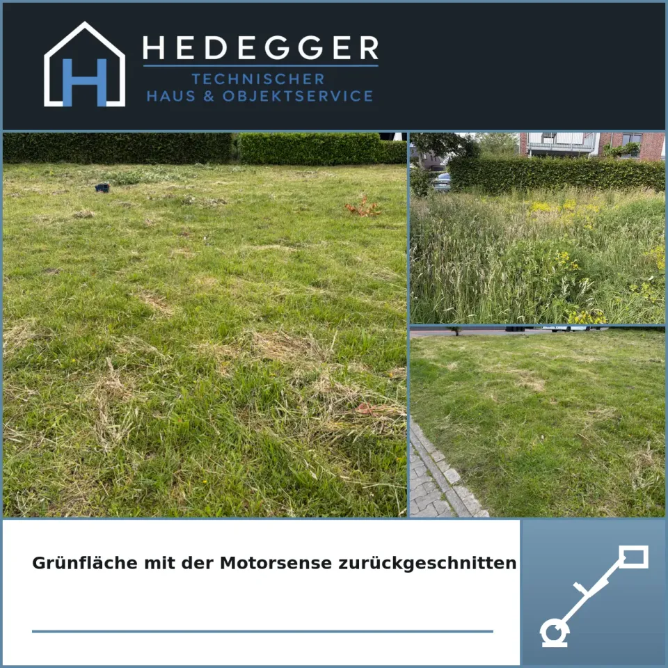 Grünfläche mit der Motorsense zurückgeschnitten