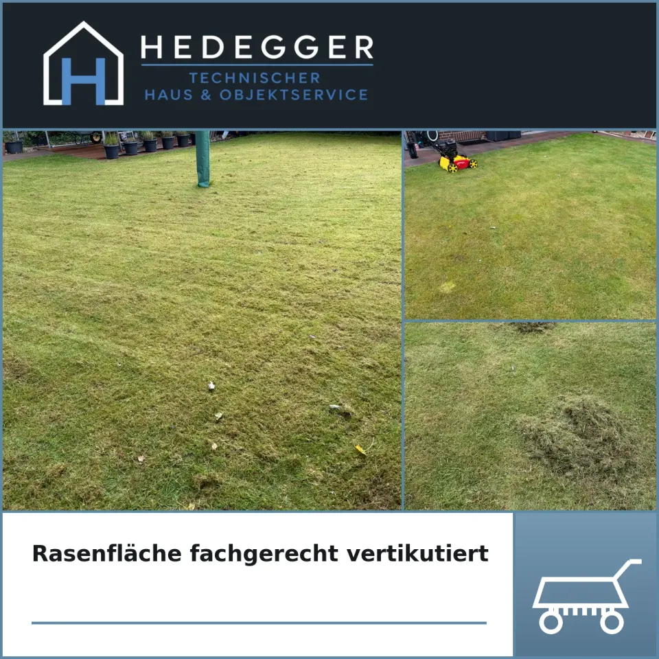 Rasenfläche fachgerecht vertikutiert